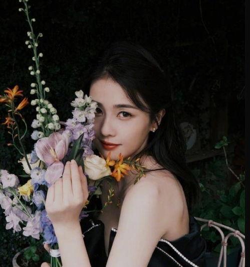 娱乐圈小黑爆料白鹿,真相究竟如何？  第1张