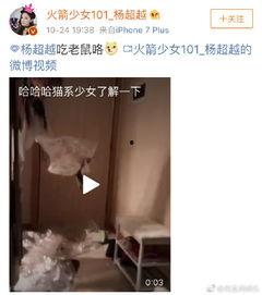 最新老鼠爆料视频下载大全,下载大全汇总 第2张 最新老鼠爆料视频下载大全,下载大全汇总 第2张